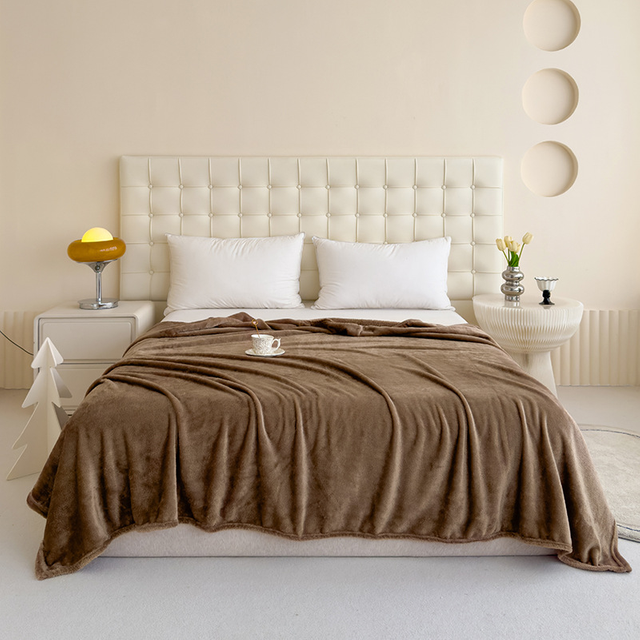 Soft Warm Flannel Fleece Blankets 60x80 Inches Flannel Fleece Luxury Blanket Lightweight Throws for Indoor And Outdoor 