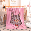 Lovely Soft Mink Throw Blanket for Kids Boys And Girls, Print Fleece 2 Layers Thick Cozy Warm Flannel Blanket for Toddler Bed