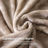 Flannel Fleece Queen Size Bed Blanket, Lightweight Breathable Soft Bedspread Plush Fluffy Coverlet Chevron Design Decorative Blanket for All Season, 90x90 Inch, Champagne
