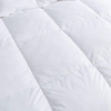 Wholesale Luxury Quilted Ultra Soft Cheap Comforter Hotel Warm Winter Microfiber Quilt