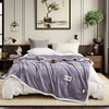 Solid Color Thickened Blanket for Couch Bed Sofa Living Room Milk Fleece Blanket Fluffy Warm King Size Super Soft Throw Blanket 