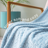 Fleece Throw Blanket for Couch and Bed, 50x70 Inches Soft Cozy Jacquard Flannel Blankets, Lightweight Fuzzy Plush Warm Throws for Women, Light Blue