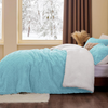 Comforter Set - Super Soft Sherpa Light Blue Comforter for Queen Size Bed, Luxury Warm Bedding Set for Winter, Fuzzy Bed Set 3 Pieces (1 Comforter, 2 Pillowcases)