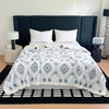 Boho Sherpa Fleece Blankets 80'' × 90'', Ultra Soft Aztec Queen Blanket for All Season, Cozy, Plush, Bohemian Throw Blanket for Bed/Couch/Sofa/Office/Camping, Light Grey