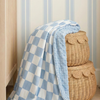 Checkered Baby Blanket, Nursery Minky Blanket for Boys Girls, Cozy Soft Fluffy Newborn Infant Toddler Receiving Blankets for Crib Stroller or Carseat, 30x40 Inches, Blue